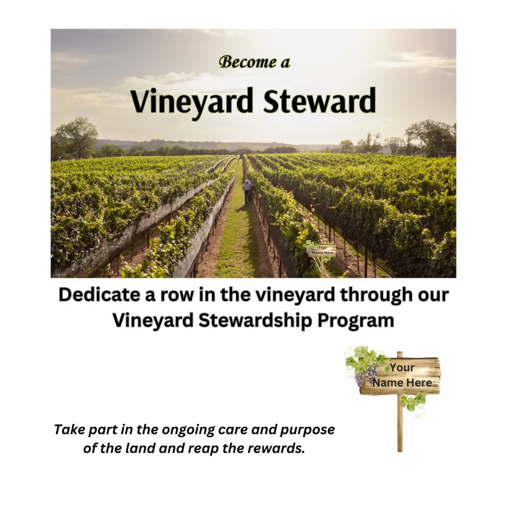 Vineyard Stewardship Program