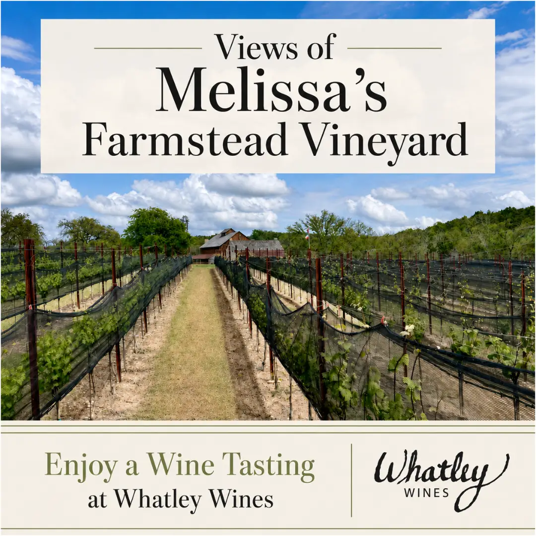 Vineyard Views 1080 x 1080